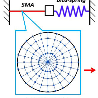 Numerical modeling of shape memory alloy linear actuator